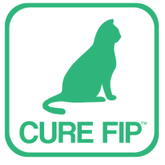 CureFIP Korea
